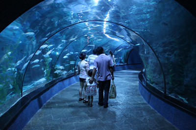 海洋公園.jpg