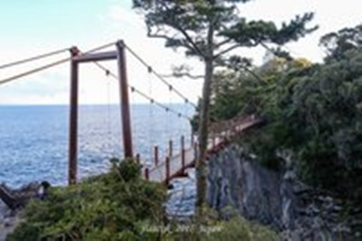 —城崎海岸+吊橋，