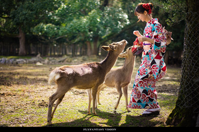 奈良公園.jpg