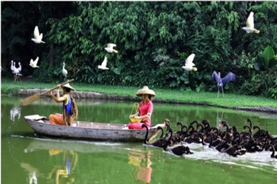 【廣州】長(zhǎng)隆野生動(dòng)物園、珠海海洋王國(guó)、歡樂(lè)世界雙臥6日游