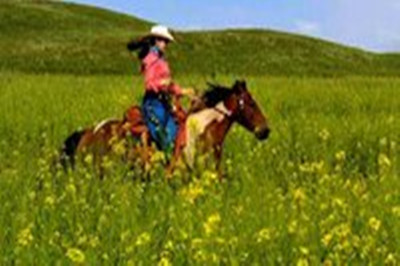 黃花溝景區(qū).jpg