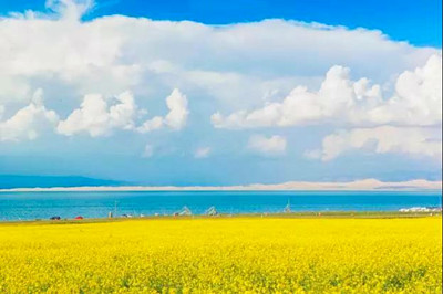 【青海品質(zhì)游】大美青海 神奇寧夏6日游