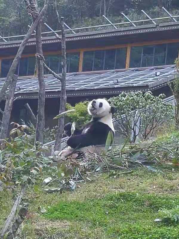 微信圖片_20181009193240