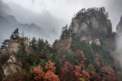 【河南】5A景區(qū)老界嶺1日游（買2送1）