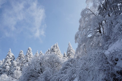 【房縣】武當(dāng)國(guó)際滑雪一日游