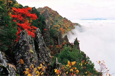 【安康】南宮山+香溪洞、安康博物館兩日游