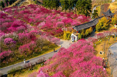 【十堰】秦巴植物園、娃娃魚基地1日游